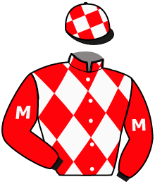Casaque du n°3 — MUDGEE CREEK