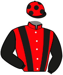 Casaque du n°1 — NACARIE PRINCESSE