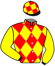 Casaque du n°11 — KRISTAL DU ROCHER