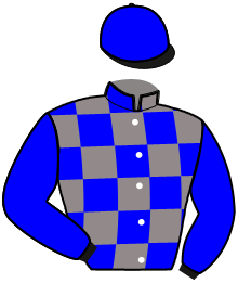 Casaque du n°8 — MARQUISE DE STAM