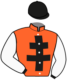 Casaque du n°9 — MISTRAL DE CERISY