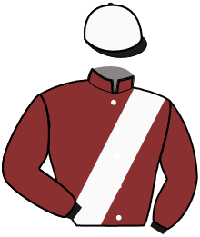 Casaque du n°4 — LOU D'ECROVILLE