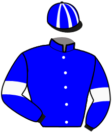 Casaque du n°6 — LUXOR D'AUVILLIER