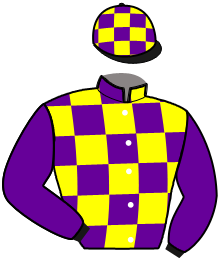 Casaque du n°3 — HINDEN