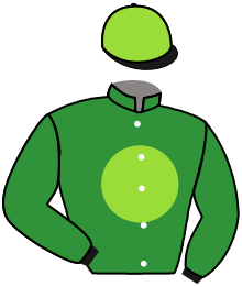 Casaque du n°1 — LINER DE GUYE