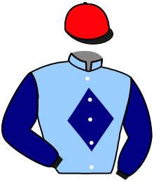 Casaque du n°2 — JERUSALEMA