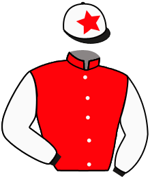 Casaque du n°4 — MAGUELON