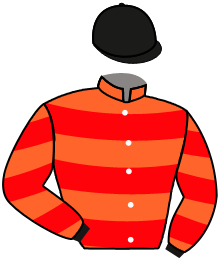 Casaque du n°5 — MANCHEGO