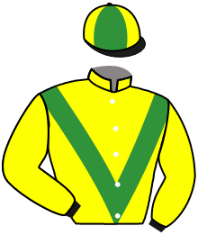 Casaque du n°11 — MARIE VA