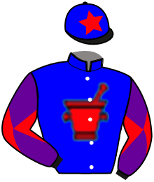 Casaque du n°3 — BRIGHTON SPORT