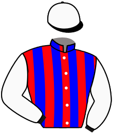 Casaque du n°7 — ARRASAGE