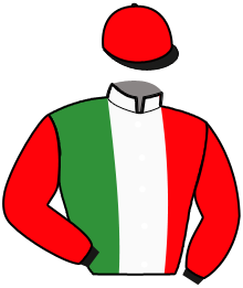 Casaque du n°11 — LIONESSA