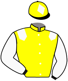 Casaque du n°12 — PROVOCATRICE