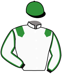 Casaque du n°2 — ZAFES