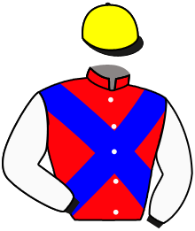 Casaque du n°11 — ALVAR