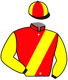 Casaque du n°2 — WETTERKOPF