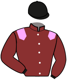 Casaque du n°9 — NASH AND STEEL