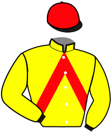 Casaque du n°2 — MISKA DE L'ETANG