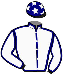 Casaque du n°1 — MICHIGAN HAWK