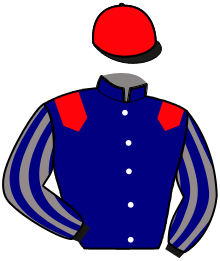 Casaque du n°2 — LEXUBERANDS