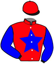 Casaque du n°10 — JANDICE STAR