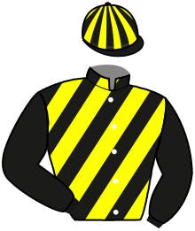 Casaque du n°2 — JUST WINNER ROC