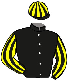 Casaque du n°2 — MINIMUM
