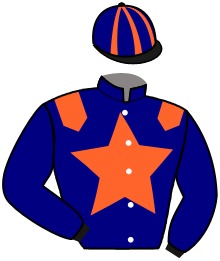 Casaque du n°14 — MILORD DREAM