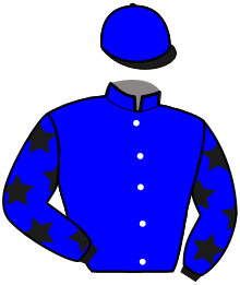 Casaque du n°3 — MAGICO DODVILLE