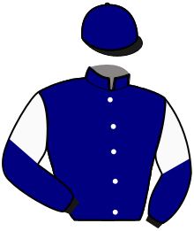 Casaque du n°8 — MEGABUCKS