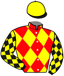 Casaque du n°14 — L'AMI LUC