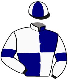 Casaque du n°15 — LUXOR DE VILLABON