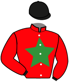 Casaque du n°16 — LEADER DE L'AUMOY