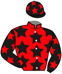 Casaque du n°3 — LUPIN DU HOULEY