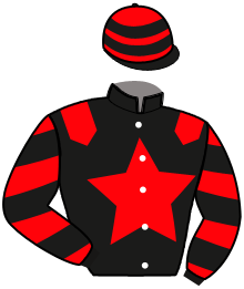 Casaque du n°10 — NECTAR DU LEARD