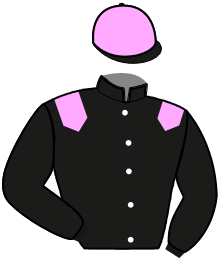 Casaque du n°13 — GRANADOS