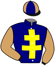 Casaque du n°14 — HORS CADRE