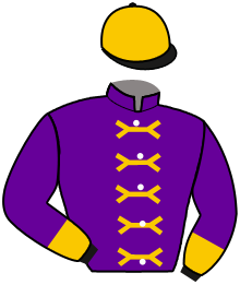 Casaque du n°2 — DICIAMO