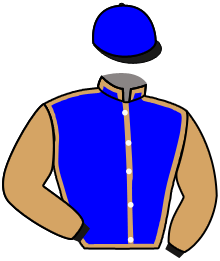 Casaque du n°3 — LANDREVIE