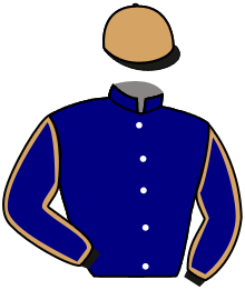 Casaque du n°8 — QUELLIS