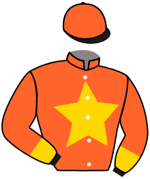 Casaque du n°2 — LALOU