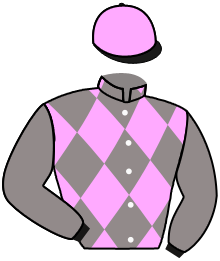 Casaque du n°7 — EVER FAST