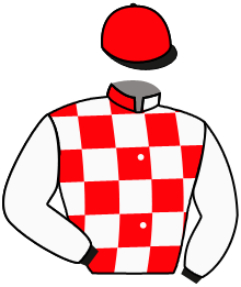 Casaque du n°13 — MARKSWOMAN