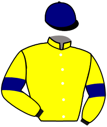 Casaque du n°14 — HARTWOOD MAN