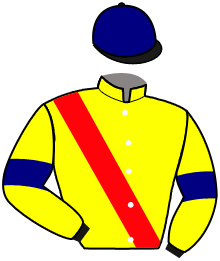 Casaque du n°15 — KING HARTWOOD
