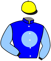 Casaque du n°1 — AFOGADO