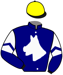 Casaque du n°15 — LEPARD