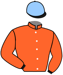 Casaque du n°7 — DUBALAA