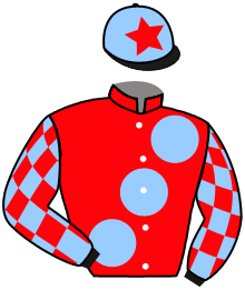 Casaque du n°12 — DHAHABI