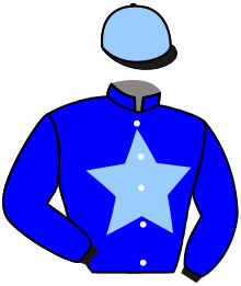 Casaque du n°14 — NOBLE HORIZON